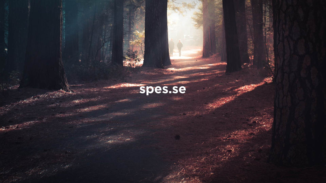 Spes